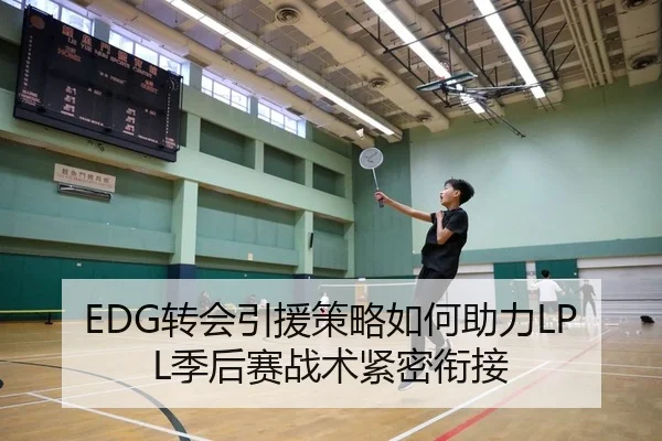 EDG转会引援策略如何助力LPL季后赛战术紧密衔接